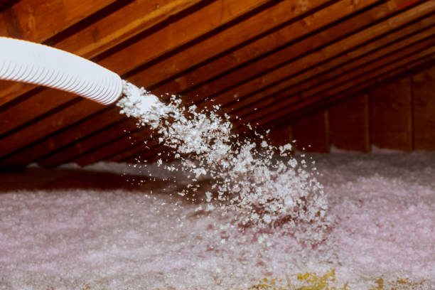 Best Spray Foam Insulation  in Paul, ID